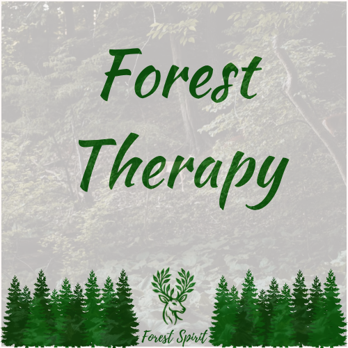 Sylvotherapy Forest Therapy