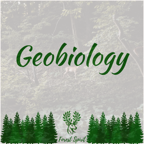 Geobiology