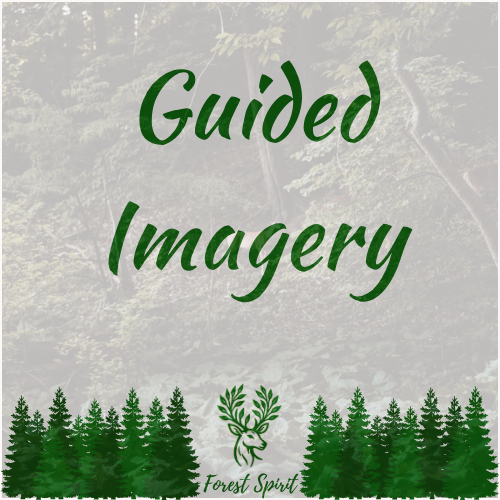 Guided Imagery & Visualisation
