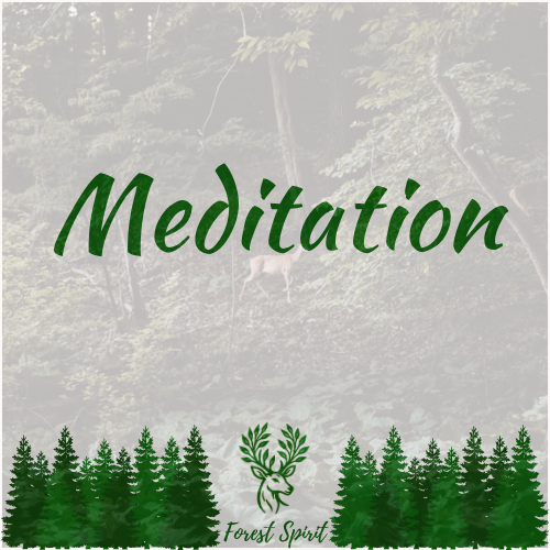 Meditation