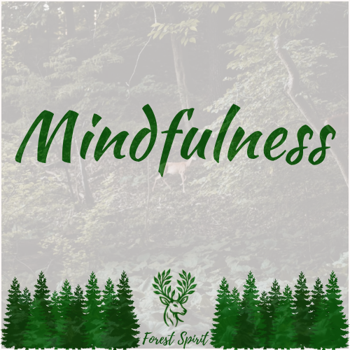 Mindfulness