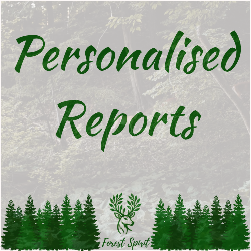 Personalised Reports