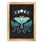 Luna Moth Wooden Framed Wall Art